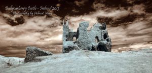 Ballycarberry-Castle-2013_0920