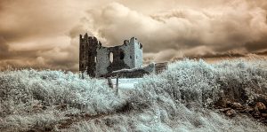 Ballycarberry-Castle-2013_1048